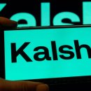 29110-00-00-000 이미지