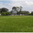 엠마누엘농장 이미지