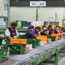 충주종합유통 이미지