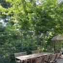 용두카페 이미지