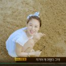 피키픽쳐스 이미지