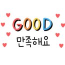 할리우독 이미지