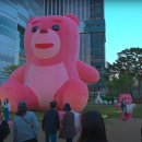 핑크벨리 이미지