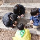 햇님어린이집 이미지