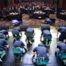 데일리안 이미지