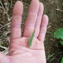 구억농장 이미지