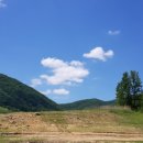 종점낚시 이미지