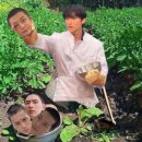 와일드필드커피 네이버블로그