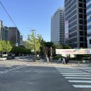 강릉엄지네 꼬막집 양재점 네이버블로그