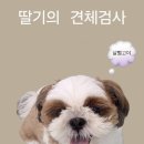 취향저견 이미지