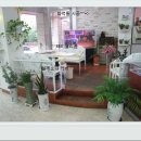 시작안경원 이미지