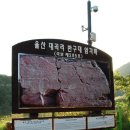 울주 대곡리 반구대 암각화 이미지