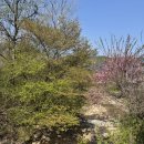 펜션 포레스트 이미지