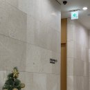 정싸이클 | 진짜 임준일기 3 - [첫사이클 후기 + 페마라정 처방]