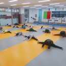 도산태권도장 이미지