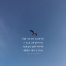 markers(마커스) 이미지