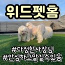 오정로252번길 | [담청이일상] 안심하고 맡길 수 있는 부천 위드펫홈에 강아지 호텔링 맡긴 후기
