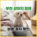 수장례토탈서비스 | 부천 강아지 장례, 정말 불법인가요? 부천 애견 장례식장 합법 기준부터 비용, 절차, 후기까지.