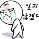 라온디테일링 이미지