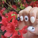 네일1번가 | 서면네일샵 네일디스튜디오 방문리뷰 :: 유지력 좋은 서면네일샵 포차코 산리오네일 후기