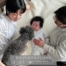 하루 이미지