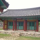 중본 Daum카페