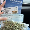 화이트 시즌 | [대관령] 대관령삼양라운드힐 - 화이트시즌 3월 방문 후기, 3월에도 눈이 있을까?