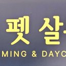 JJ 펫살롱 이미지