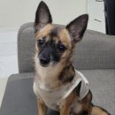 몽개몽개 이미지