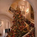 리츠호텔 이미지