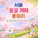 매화숲유치원 | 아이와 가기 좋은 서울 봄꽃 명소 (2026 개화 순서 총정리)