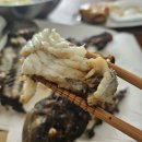 훼미리호좌대낚시터 | 못잡으면 물고기 주는 당진 도비도항 훼미리호좌대낚시(또간집)