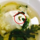 테크윈 구내식당