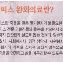 소풍나라 이미지