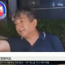 시청역 사고 차량 급발진 아니다(추가) 이미지