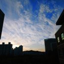 국립심포니오케스트라 CINEMA CLASSIC DAY | 일상 기록장🎵-다채로운 일주일