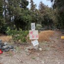 서호농장 | 제주 서귀포시 아이와 귤 체험하기 좋은 곳 “제주 감귤 체험 제주 킴스 농장”