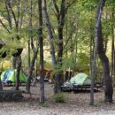 중랑캠핑숲 이미지