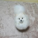 오늘도너는예쁘다 이미지