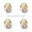 다우메디칼 이미지