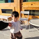 오늘 브로스(Oneul Bros) | 경주카페 추천! 한옥 감성 대형카페 브로스커피에서 맛본 두쫀쿠