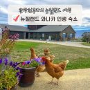 장기농장 | 뉴질랜드 와나카 숙소 추천 농장 체험 감성 에어비앤비