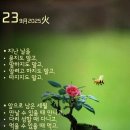 행복한가을 Daum카페