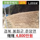 춘양약국 이미지