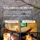 북면407 | 강원도펜션 추천 | 설악산 국립공원 내 숲캉스 성지, 플로팅웨일 설악도적폭포스테이 (+ 1박 1만원 봄...