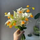 WD5. 부케 고르기