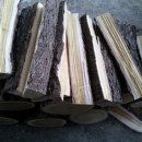 우리참옻 이미지