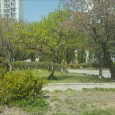 느티울근린공원 이미지