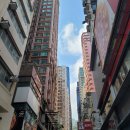 청우모텔 | [홍콩 여행 후기]7월 홍콩 3박4일 혼자 여행기-3일차(완차이,블루하우스,청우이맨션,익청빌딩,초이홍...