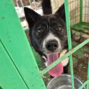 검정보건진료소 이미지